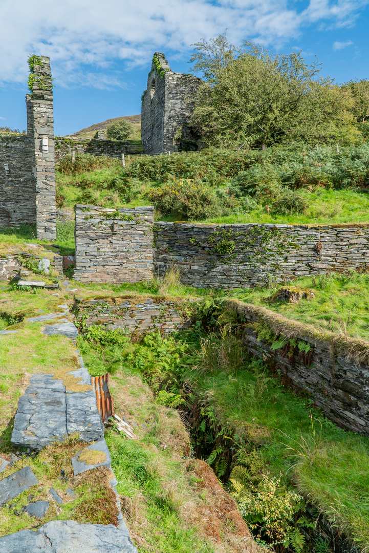 Bryndyfi dressing floors 25.9.18-2-28